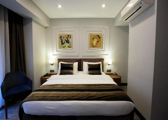 Отель Zalel Laleli 3*