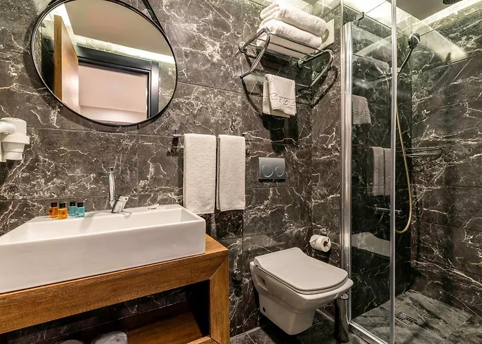 Hotel Zalel Laleli Istanboel